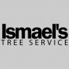 Ismael's Tree Service