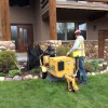 Low Stump Tree Service