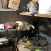 Patriot Disposal