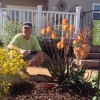 ECO Gardeners