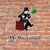 Mr. Smokestack Chimney Service