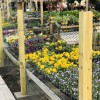 Sunshine Grow Shop