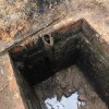 Satilla Septic