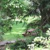 Cornerstone Landscaping & Maintenance