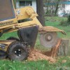 Brad's Stump & Tree Service