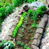 Gardens By Ruth