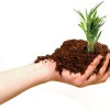 Green Solutions Landscaping