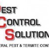 Pest Control Solutions