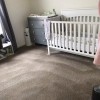 The Carpet Butler