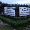 Junco's Nursery