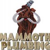 Mammoth Plumbing