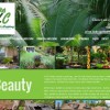 Prime Landscaping