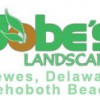 Jobe's Landscape