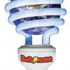 Bulborama