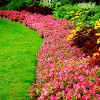 Aesthetic Landscapes