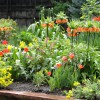B Gardening