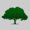 Tree Service Pros