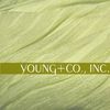 Young +