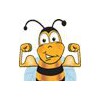 Buzz Roofing