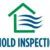 EZ Mold Inspections