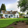 Pete's Total Lawn Care