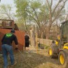 Wildcat Tree Service