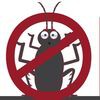 Horn Pest Management
