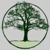 Ruiz Tree & Lawn Service