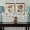 Carolyn Thayer Interiors