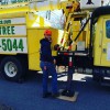 Brooke Tree Service
