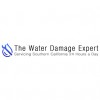 The Water Damage Expert