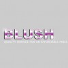 Blush Cleaning Service