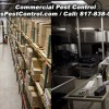 Tops Termite & Pest Control