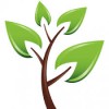Tz Landscaping