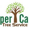 Upper Cape Tree Service