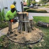 JLG Tree Service
