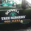 Scovell Tree Surgery