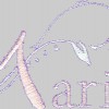 Mari's Property Management & Cleaning Services