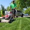 Lawngevity