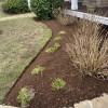 Carter's Landscaping