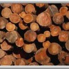 Simmons Tree Care