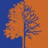 Timber Tree Care