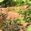 Wiler Fence