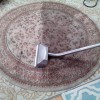 McCartin's Carpet & Upholstery Cleaning