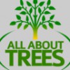 All About Trees