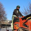 TreeHugger Complete Tree Care