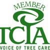 Paul Bunyan's Tree Service