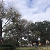 Eagerton Tree Service