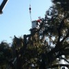 Hart's Tree Service