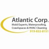 Atlantic Mold